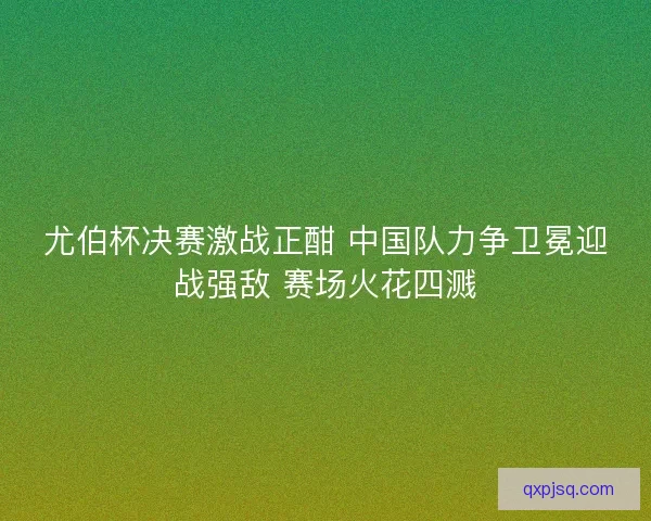尤伯杯决赛激战正酣 中国队力争卫冕迎战强敌 赛场火花四溅